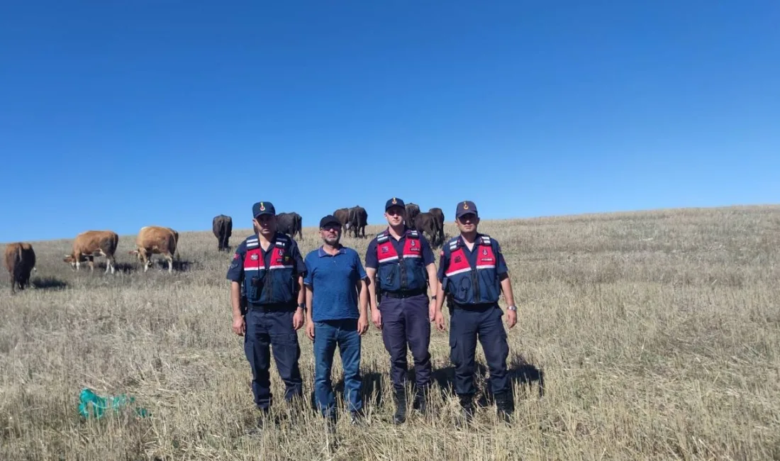 Yozgat İl Jandarma Komutanlığı, Kaybolan 8 Büyükbaş Hayvanı Tavşantepe Mevkiinde