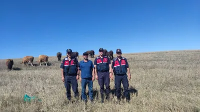 Yozgat İl Jandarma Komutanlığı, Kaybolan 8 Büyükbaş Hayvanı Tavşantepe Mevkiinde