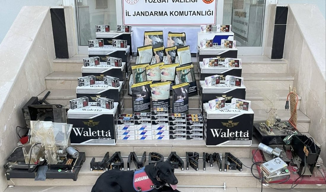 Yerköy İlçe Jandarma Komutanlığı ve Kom Şube Müdürlüğü ekipleri, Haşim