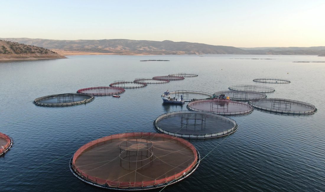 Yozgat'ta Küçük Ölçekli Balıkçılığa Büyük Destek: 2025 ve 2026 Yıllarında