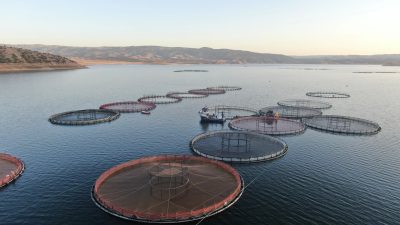 Yozgat'ta Küçük Ölçekli Balıkçılığa Büyük Destek: 2025 ve 2026 Yıllarında