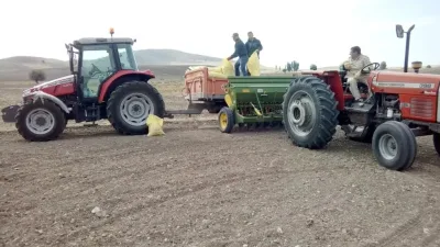 Dört kişilik Böcek ailesinin ilaçlama kaynaklı zehirlenme şüphesiyle hayatını kaybetmesi,