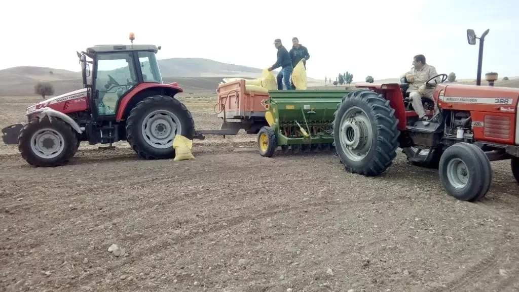 Dört kişilik Böcek ailesinin ilaçlama kaynaklı zehirlenme şüphesiyle hayatını kaybetmesi,