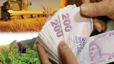 Tarım ve Orman Bakanlığı’ndan Çiftçilere 10 Bin 300 TL’ye Kadar