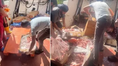 Antalya'da Tarım ve Orman Bakanlığı'nın Gıda Denetimleri: 17 Ton Bozuk