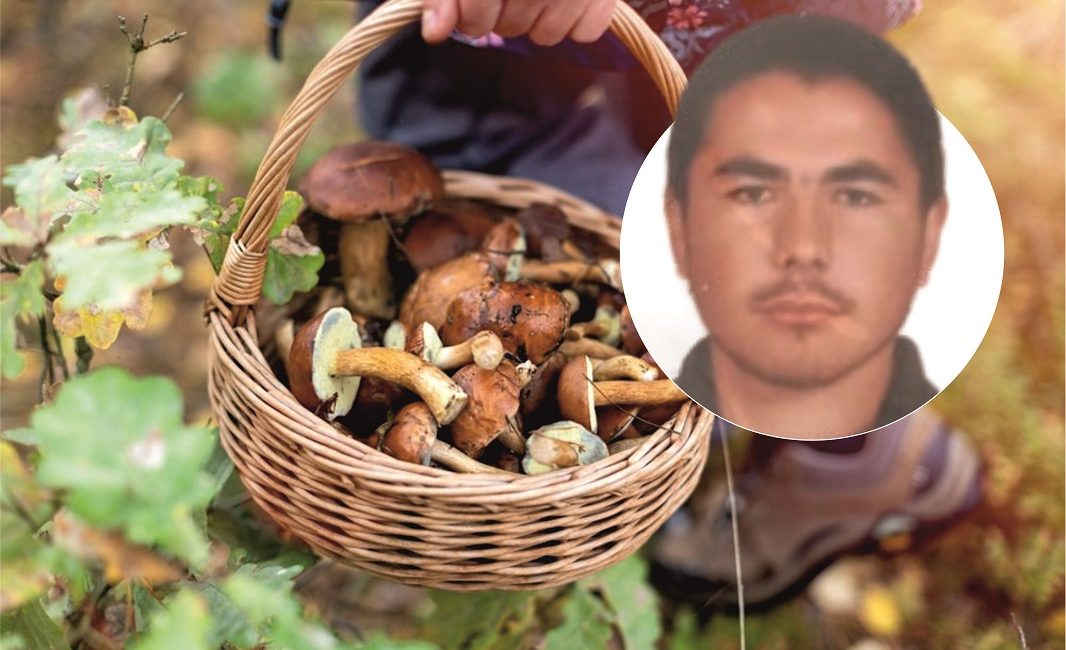 Alicik Köyü'nde Mantar Toplama Amacıyla Evden Ayrılan Hasan Koç'un Kayıp