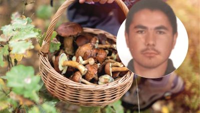 Alicik Köyü'nde Mantar Toplama Amacıyla Evden Ayrılan Hasan Koç'un Kayıp