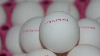 Gıda ve Kontrol Genel Müdürlüğü'nden Önemli Açıklama: Yumurtalardaki Numara İlaçları