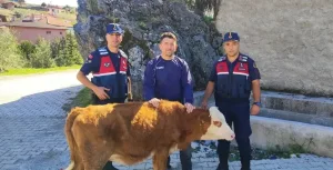 Yozgat İl Jandarma Komutanlığı, Emirler Köyü'nde 3 Gündür Kayıp Olan