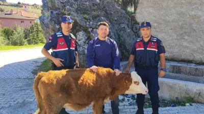 Yozgat İl Jandarma Komutanlığı, Emirler Köyü'nde 3 Gündür Kayıp Olan