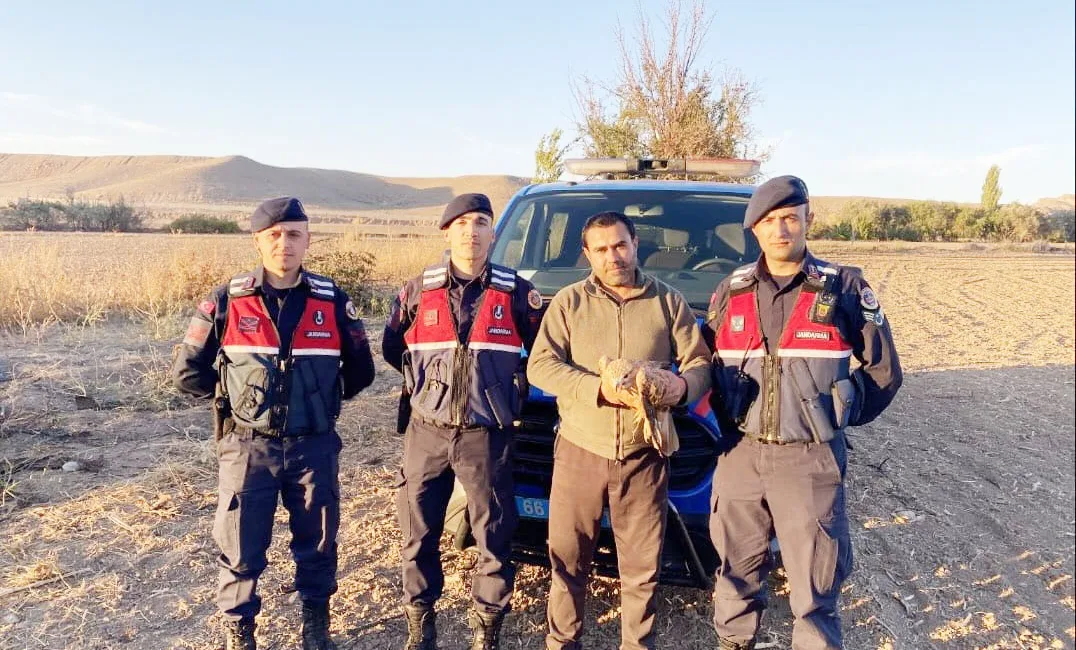 Yozgat-Yerköy bölgesinde doğa koruma faaliyetleri sırasında yaralı bir şahin, jandarma