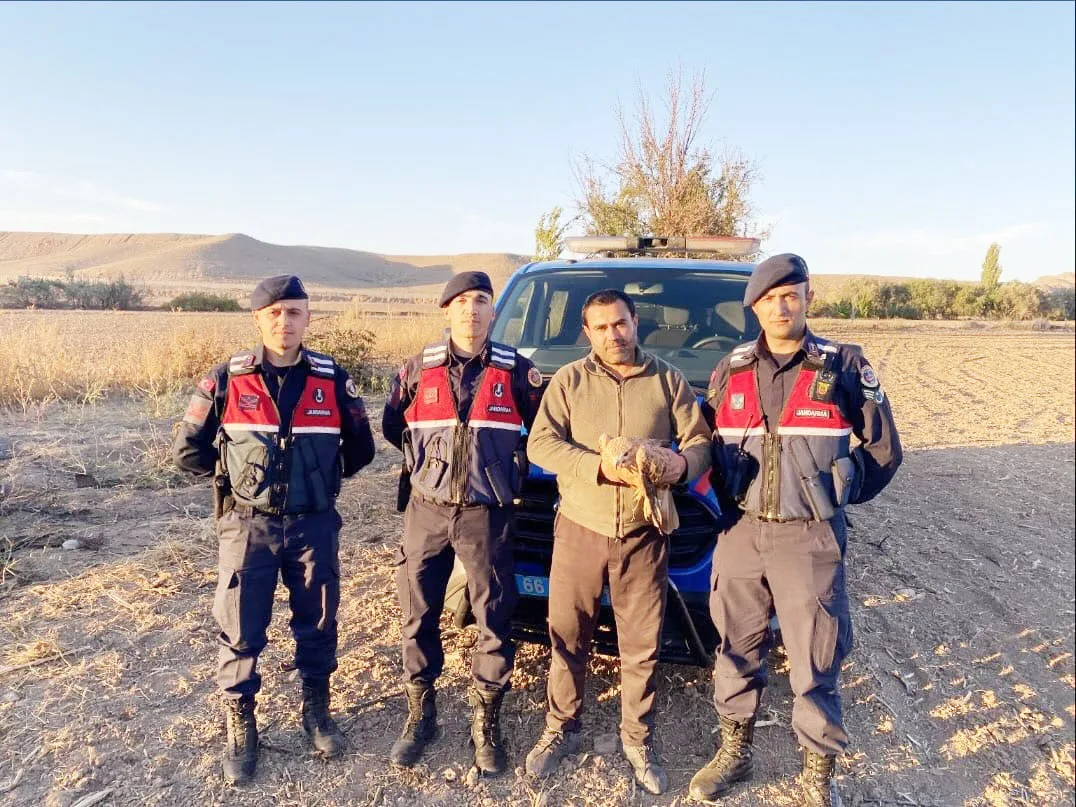 Yozgat-Yerköy bölgesinde doğa koruma faaliyetleri sırasında yaralı bir şahin, jandarma
