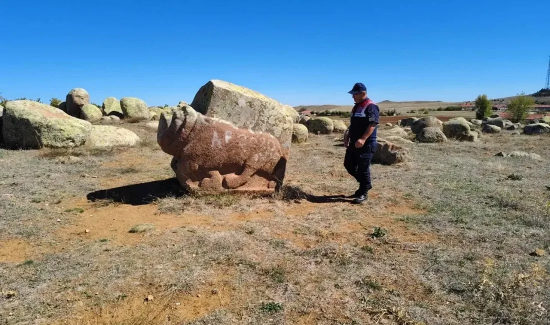 Yozgat Jandarma Ekiplerinden Kadışehri Çamsaray Devlet Avlağı ve Sorgun Hitit