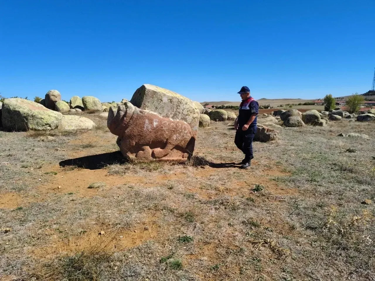 Yozgat Jandarma Ekiplerinden Kadışehri Çamsaray Devlet Avlağı ve Sorgun Hitit