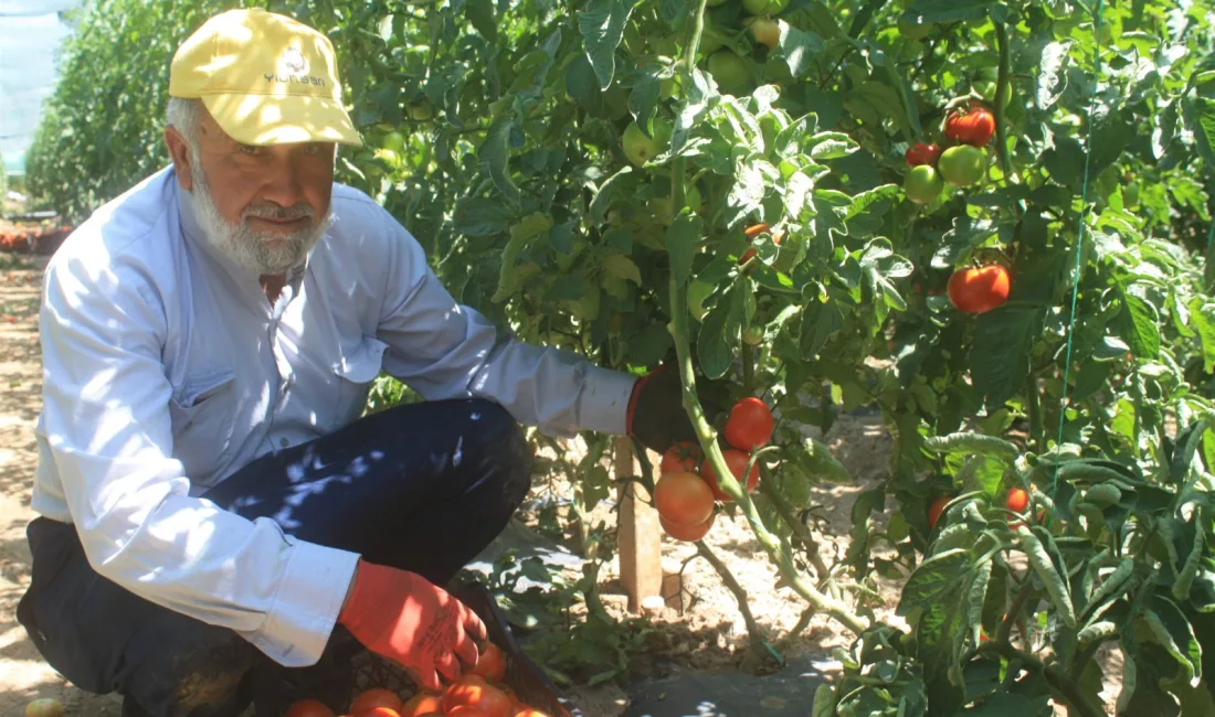Yozgat İl Tarım ve Orman Müdürlüğü’nün Bacillus Bakterisiyle Yaptığı Yenilikçi