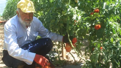 Yozgat İl Tarım ve Orman Müdürlüğü’nün Bacillus Bakterisiyle Yaptığı Yenilikçi