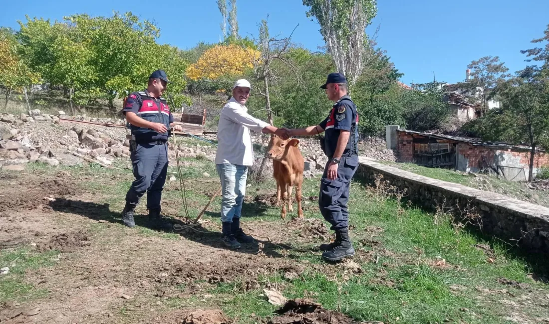 Yozgat Kale Köyü’nde Kaybolan Büyükbaş Hayvan, Jandarma Ekiplerinin Başarılı Çalışmalarıyla