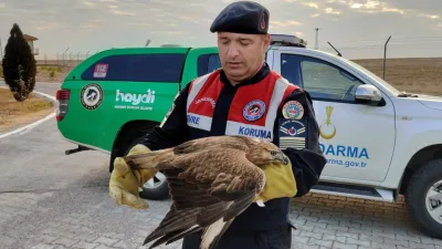 Yozgat İl Jandarma Komutanlığı, bulduğu yaralı şahini koruma altına alarak