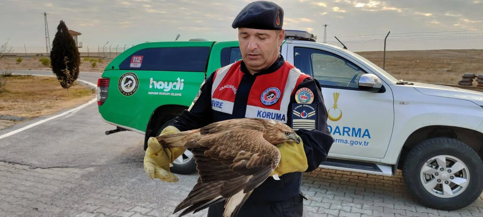 Yozgat İl Jandarma Komutanlığı, bulduğu yaralı şahini koruma altına alarak