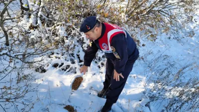 Yozgat İl Jandarma Komutanlığı ekipleri, Lök Köyü genel avlağında kaçak