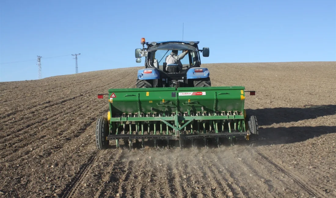 Kullanılmayan tarım arazileri, çiftçilerin kullanımına sunuluyor.  Tarım ve Orman