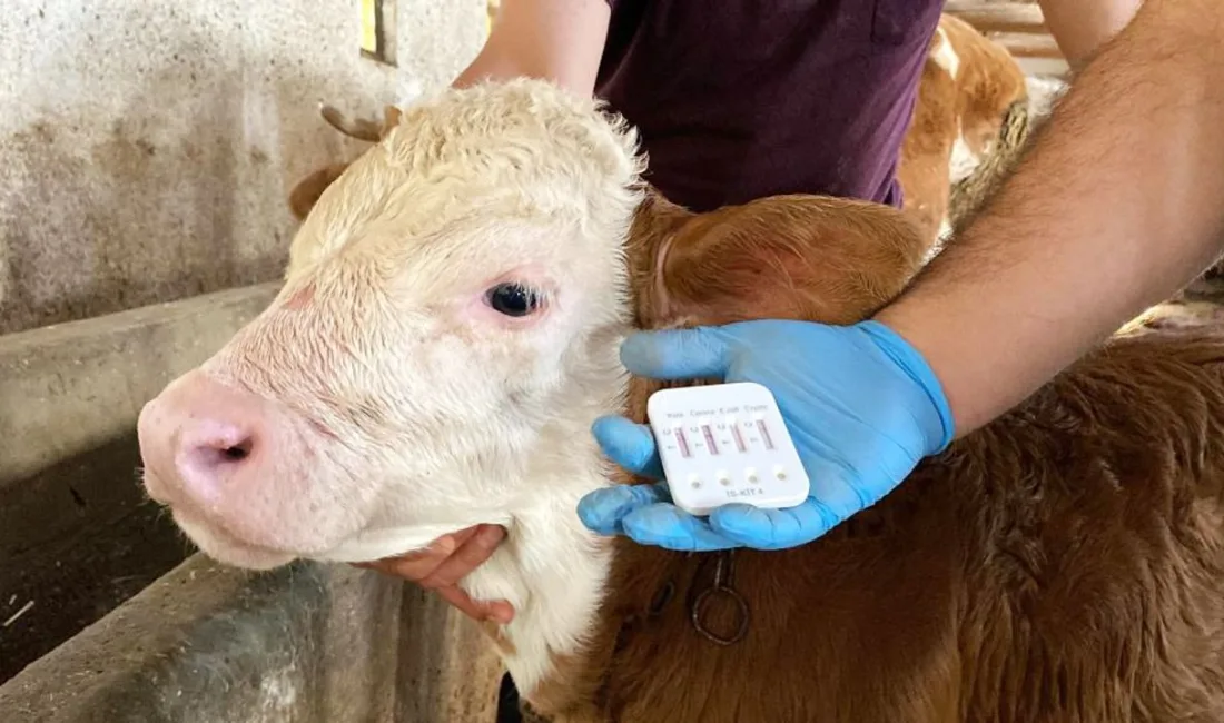 Yozgat Veteriner Hekimleri Odası Başkanı Faruk Anteplioğlu, KOP İdaresi ile