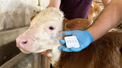 Yozgat Veteriner Hekimleri Odası Başkanı Faruk Anteplioğlu, KOP İdaresi ile