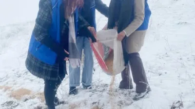 Yozgat’ta genç liderler ve gönüllüler, karla kaplı alanlarda yiyecek bulmakta