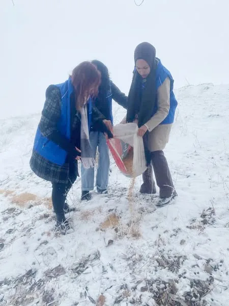 Yozgat’ta genç liderler ve gönüllüler, karla kaplı alanlarda yiyecek bulmakta