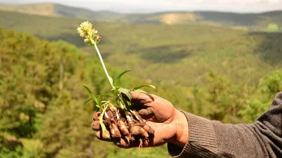 Soğuk kış günlerinde Yozgatlılar, Akdağmadeni salebiyle içini ısıtıyor. Eşsiz aroması