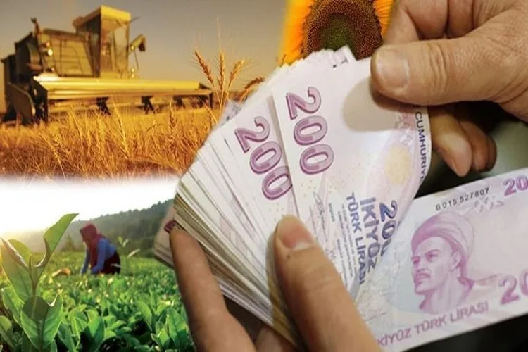 2023 yılı itibarıyla Sorgun ilçesinde tarım sektörüne toplamda 312.245.935 TL