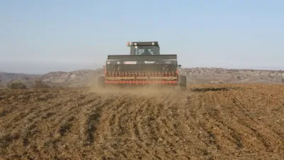 Yozgat İl Tarım ve Orman Müdürlüğü, yerli tritikale çeşitlerinin tanıtımı