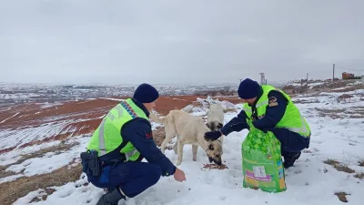Yozgat İl Jandarma Komutanlığı, Boğazlıyan'da kış mevsiminin zor şartlarında doğada