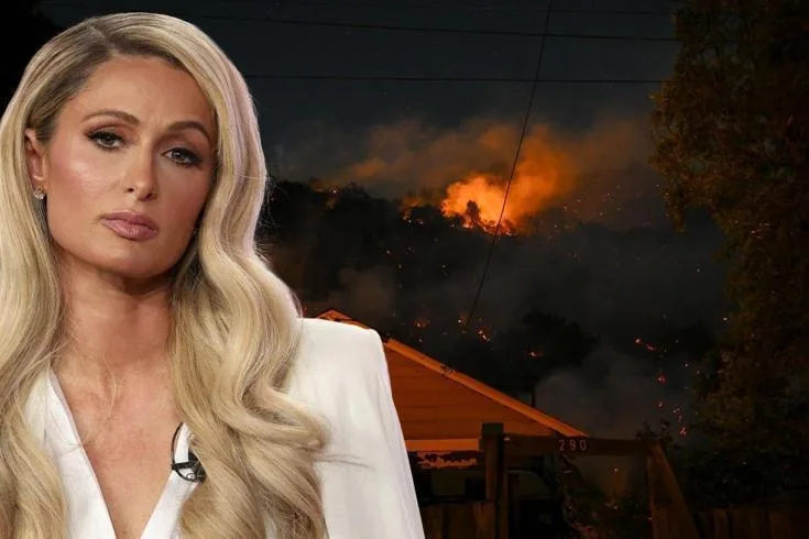 California eyaletinin Los Angeles kentinde meydana gelen şiddetli orman yangınları,