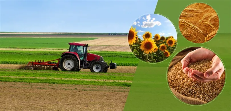 Tarım ve Orman Bakanlığı, kırsal kalkınmayı desteklemek amacıyla 279 milyon