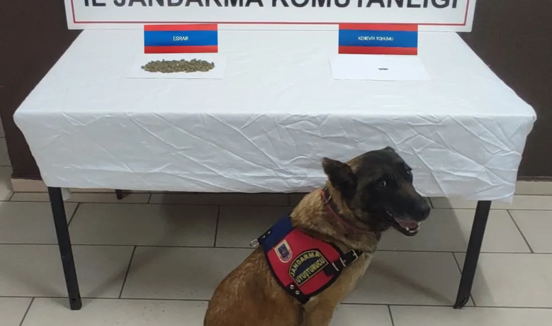 Uyuşturucu Operasyonu, 4 Şüpheli Gözaltına Alındı Yozgat’ta düzenlenen uyuşturucu operasyonunda, araç içerisinde 33 gram skunk ve