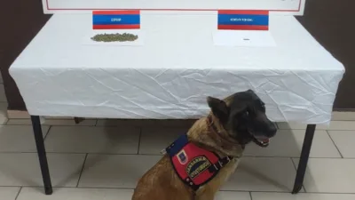 Yozgat’ta düzenlenen uyuşturucu operasyonunda, araç içerisinde 33 gram skunk ve