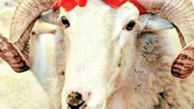 Rüya Tabirleri, Rüyada Kurban Kesmek Ne Anlama Gelir? İşte Detaylı Anlamı Rüyada kurban kestirmenin ya da kesmenin neye işaret ettiğine