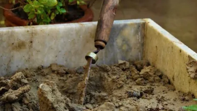 Hayat vermenin en güzel yollarından biri şüphesiz ağaç dikmektir. Aynı