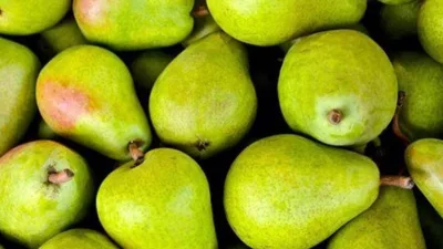 Rüyada Armut Toplamak Ne Anlama Gelir? İnsanlar, gördüğü rüyaların belli bir bölümünü hatırlamasa da, hatırladığı yerleri