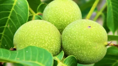 Rüyalar bilinçaltımızda yer alan bazı durumların uyku sırasında ortaya çıkarak