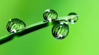 Hayatın her noktasını saran renkler insanlık için büyük bir öneme