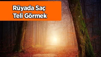 Rüya Tabirleri, Rüyada Saç Teli Görmek Ne Anlama Gelir? İşte Detaylı Anlamı Rüyada saç teli görmek, kişinin şüphe duyacağı şeyler yaşayacağına delalet