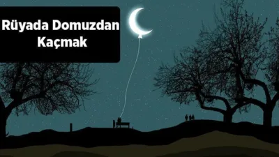 Rüya Tabirleri, Rüyada Domuzdan Kaçmak Ne Anlama Gelir? İşte Detaylı Anlamı Yaşamsal fonksiyonlarımızı devam ettirebilmek içi bazı şeylere ihtiyaç duyarız. İhtiyaç