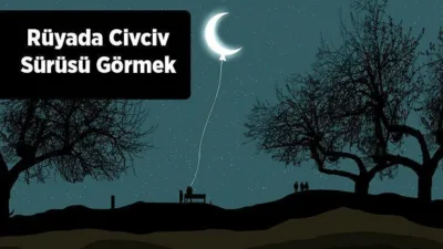 Rüyalar, genellikle gerçek hayatta yaşadıklarımızın bilinçaltımıza yerleşmesi sonucunda ortaya çıkar.