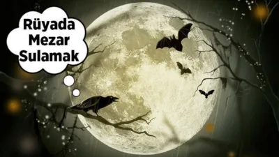 Rüya Tabirleri, Rüyada Mezar Sulamak Ne Anlama Gelir? İşte Detaylı Anlamı Rüyalar, zaman zaman insanlara bir mesaj niteliği taşıyabilmektedir. Bu sebeple