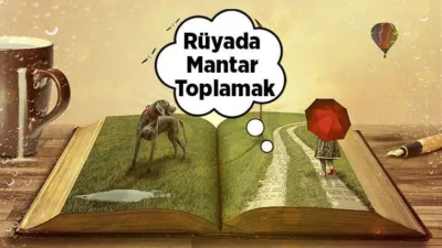 Rüya Tabirleri, Rüyada Mantar Toplamak Ne Anlama Gelir? İşte Detaylı Anlamı Rüyada görülenlerin nasıl mesajlar verdiği, rüya tabirleri her zaman insanoğlunu