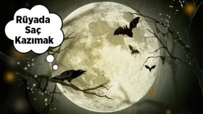 Rüyalar, insanlar için oldukça önemlidir. Gerçek hayatımızda yaşadığımız pek çok