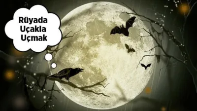 Rüyada uçakla uçmak, rüya sahibi için yol anlamına gelir. Bu