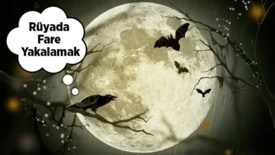 Pek sevilmeyen hayvanlar içerisinde fareler gelir. Özellikle ev ve işyerlerinde